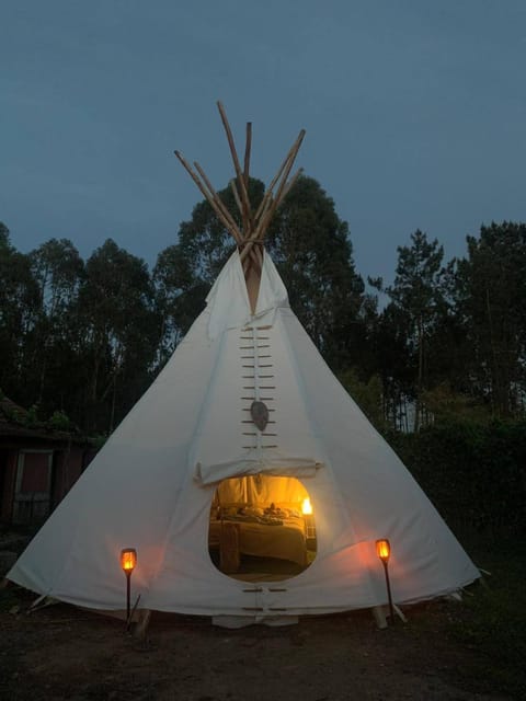 Property building, Night, Garden