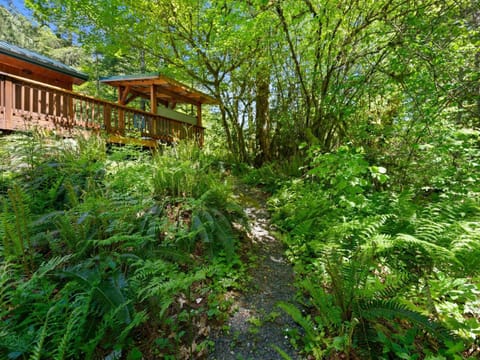 Blue Coconut House in Mount Hood Village