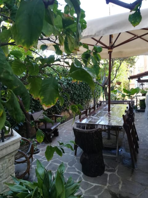 Patio, Garden, Banquet/Function facilities, Garden view