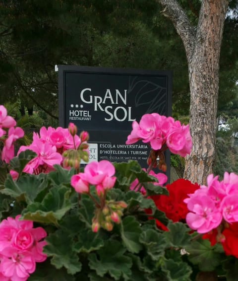 Gran Sol Hotel Hotel in Maresme