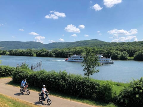 Natural landscape, Cycling