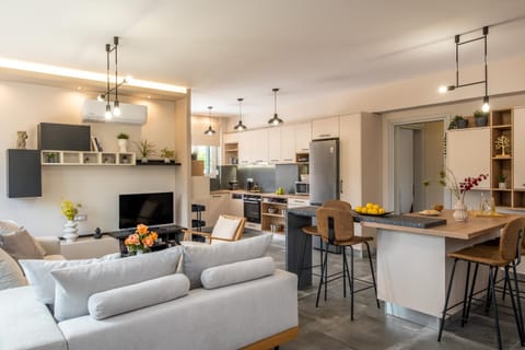 Kitchen or kitchenette, Living room, Seating area, Dining area