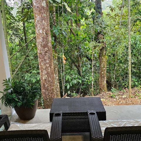 OLP Treehouse Cerro Azul Bed and Breakfast in Panama City, Panama