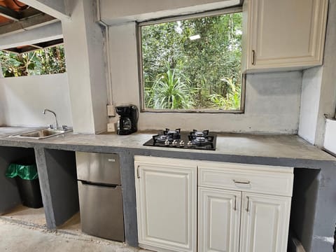 Coffee/tea facilities, Kitchen or kitchenette, stove