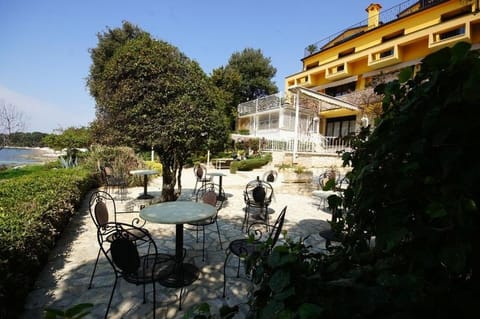 Patio, Garden, Garden view