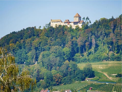 Nearby landmark, Landmark view