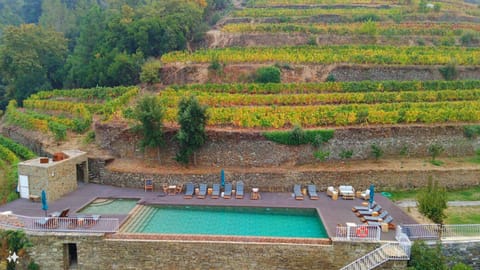 Quinta de Travassinhos- Douro Valley & Spa Farm Stay in Vila Real District