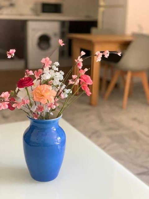 Bel Apt centre menton Centre proche Casino Apartment in Menton