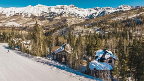 Winterleaf home House in Mountain Village