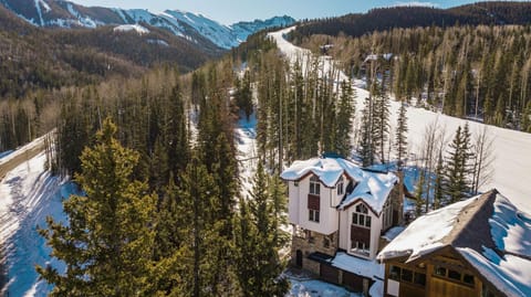 Winterleaf home House in Mountain Village