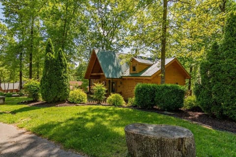 Three Bear Lodge House in Ridgedale