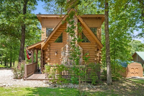 Lil' Treehouse Cabin House in Ridgedale