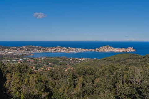 Natural landscape, Bird's eye view