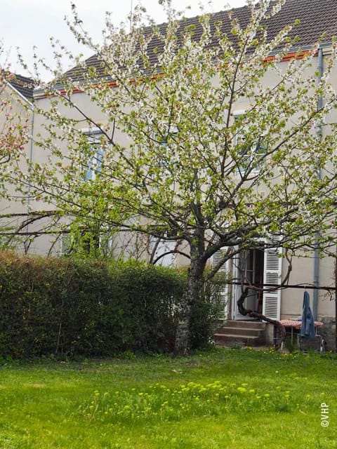 Property building, Spring, Garden