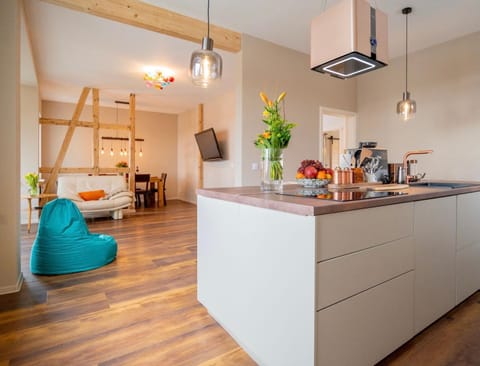 Kitchen or kitchenette, Photo of the whole room, Dining area, stove