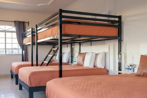 Bed, Photo of the whole room, Bedroom, bunk bed