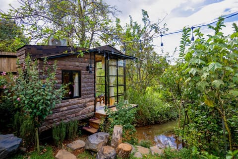 Property building, Spring, Garden view