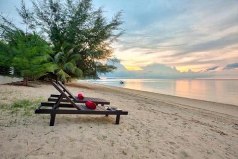 Beach, Beach, Sunrise, Sunset