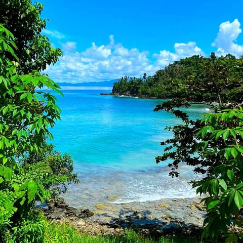 Natural landscape, Beach