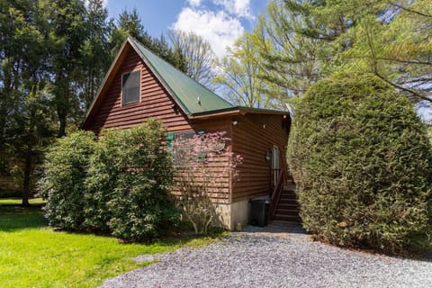 Bridgepoint Cabin House in Brushy Fork