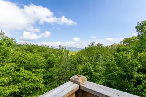 Bearadise Cabin House in Sugar Mountain