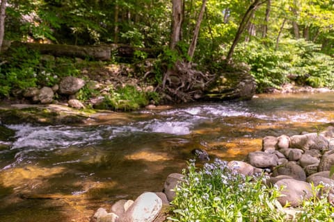 Riverwood at Mill Ridge House in Watauga