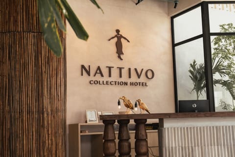 Nattivo Collection Hotel Hotel in San Andres