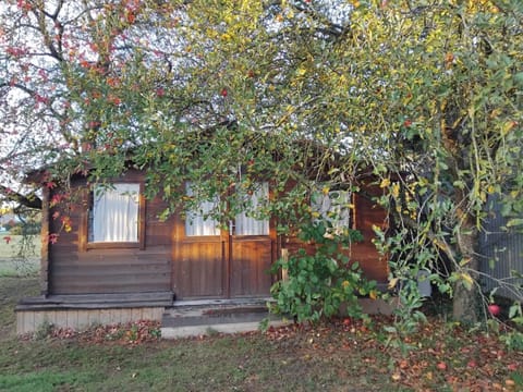 Property building, View (from property/room)