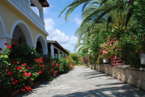 Property building, Garden view