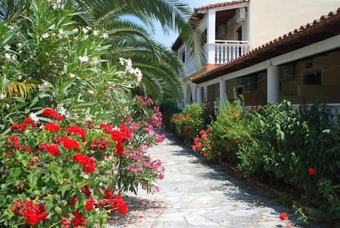 Property building, Garden view