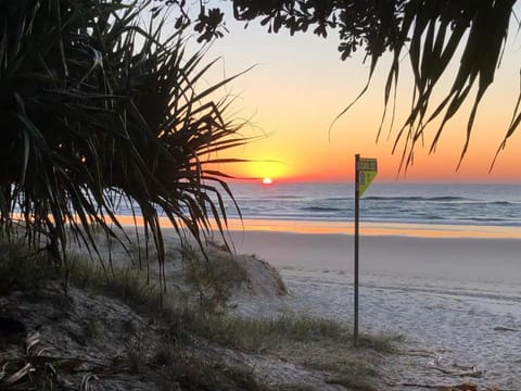 Nearby landmark, Beach, Sunrise