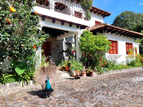 Property building, Garden, Garden view