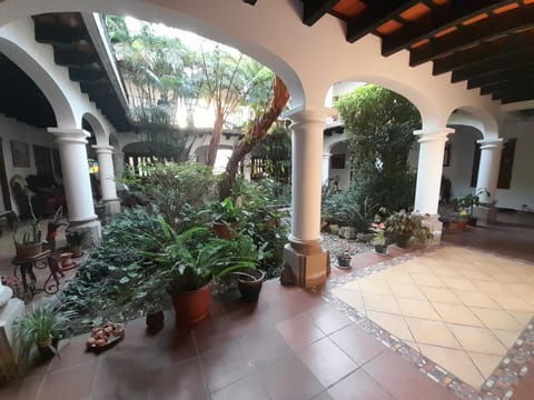 Patio, Garden, Garden view, Inner courtyard view