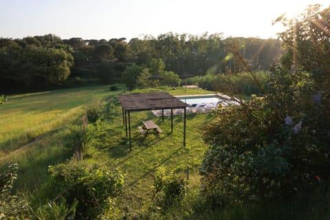 Spring, Day, Natural landscape, Garden, Garden, Garden view, Pool view, Swimming pool