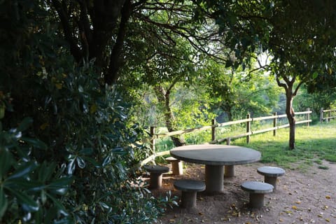 Spring, Day, Natural landscape, Garden, Dining area, Garden view