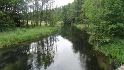 Agroturystyka u Wioli i Irka , domek u Ireny, spływy kajakowe House in Pomeranian Voivodeship