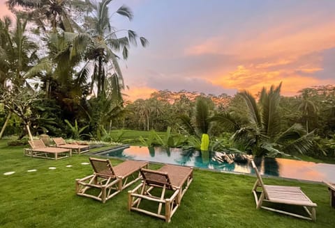 Garden, Swimming pool, Sunset