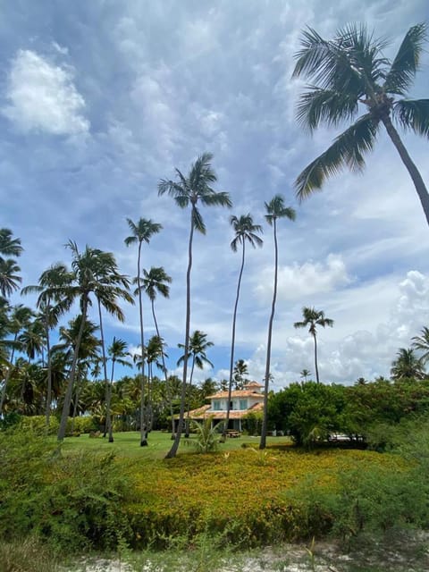 Casa Brasileira - Hotel Galeria Hotel in State of Alagoas, Brazil