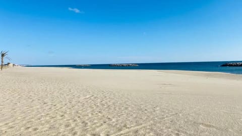 Magnifique Maison avec piscine privée à 300 m d'une trés jolie plage de sable Villa in Le Barcarès