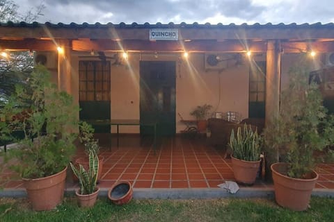 Property building, Day, Garden view