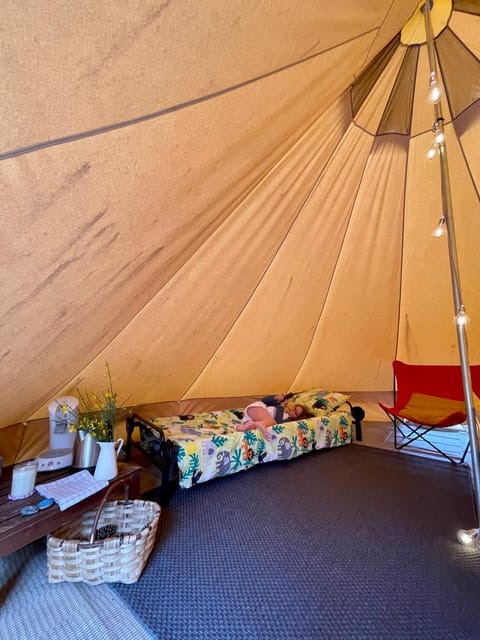 Tente Indiana Pins - La Téouleyre Luxury tent in Saint-Julien-en-Born