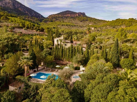 Natural landscape, Bird's eye view, Garden