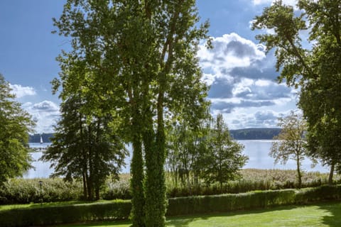 Day, Natural landscape, Garden, Garden view, Lake view