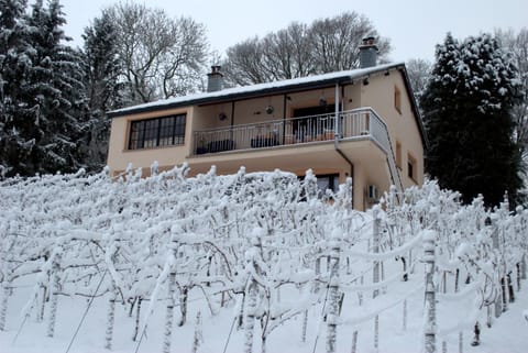 CasaVitis Erholung am Weinberg Apartment in Aachen