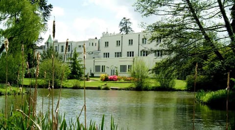 Property building, Natural landscape, Garden