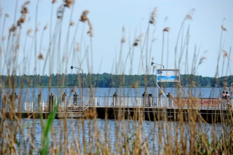 Day, Natural landscape, Activities, Lake view