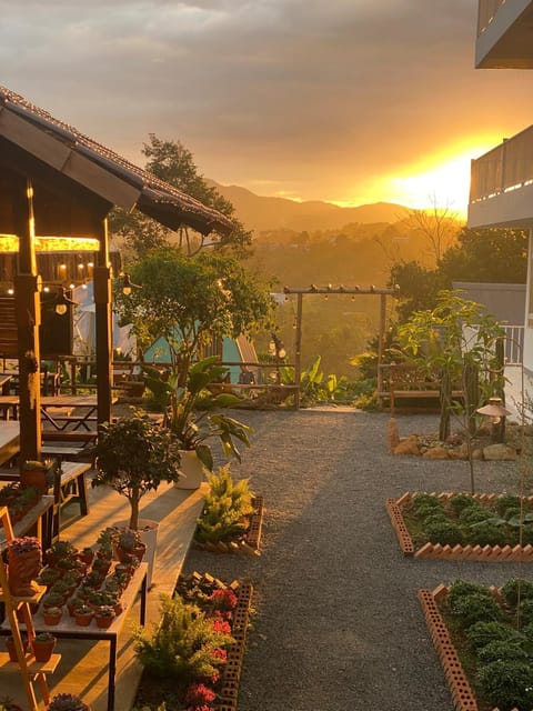 Garden, Mountain view, Sunset