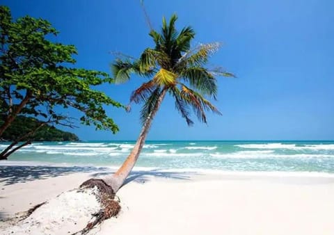 Nearby landmark, Day, Beach