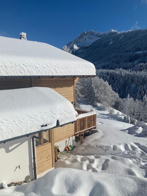 Chalet Villars-Gryon 8pax Cosy Chalet in Ollon