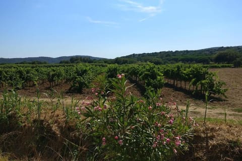 LES VIGNES ET LA PINEDE PRES DE LA PLAGE Apartment in Ramatuelle